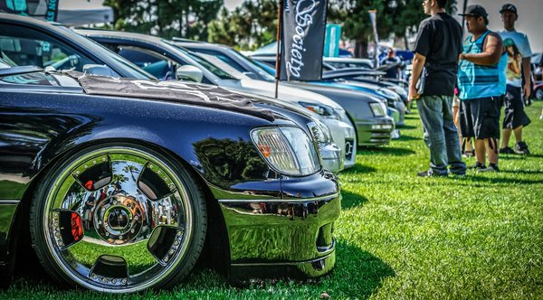 Discover the Best Natural Oils to Nourish and Hydrate Your Dry Scalp